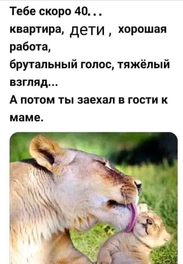 Без комментария