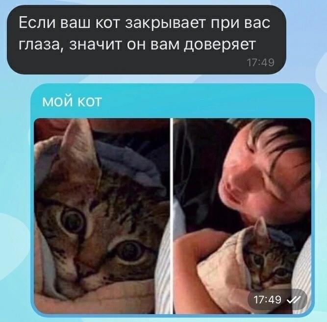 Без комментария