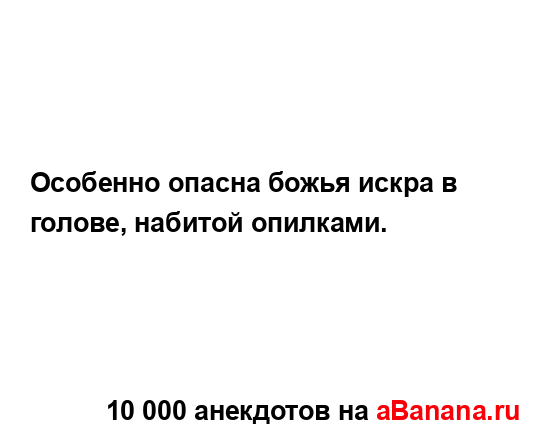 Особенно опасна божья искра в голове, набитой...