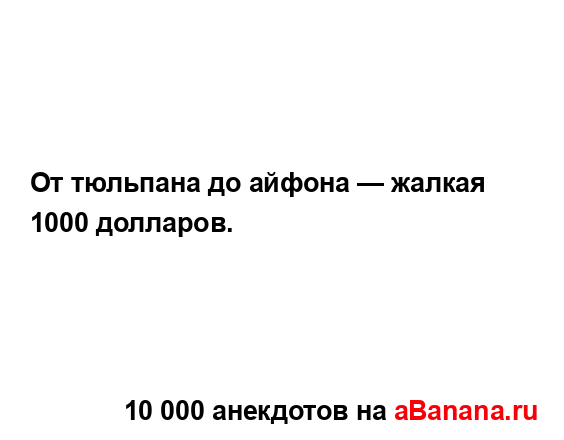 От тюльпана до айфона — жалкая 1000 долларов....