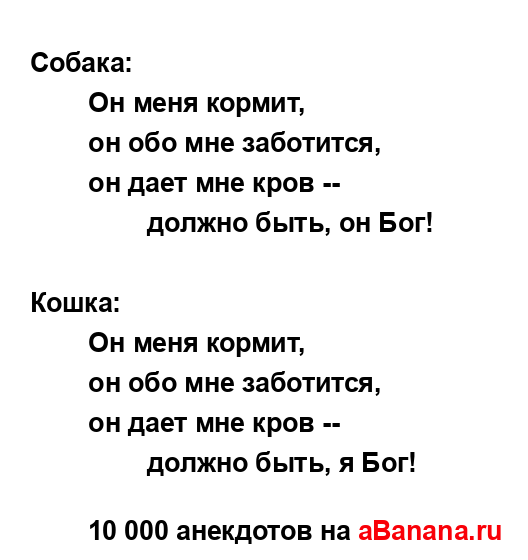 Собака:
...