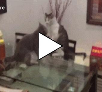 Без комментария