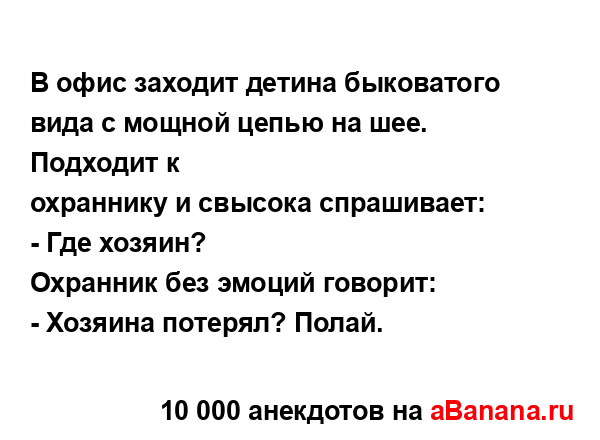 В офис заходит детина быковатого вида с мощной цепью...