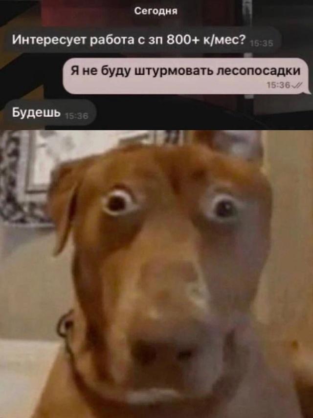 Без комментария