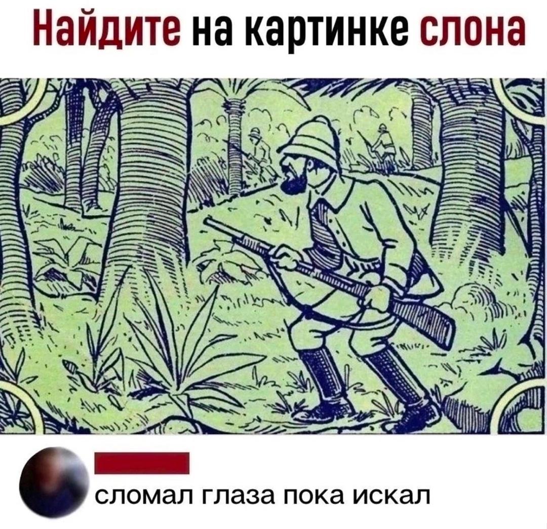 Любишь кататься, люби и саночки возить