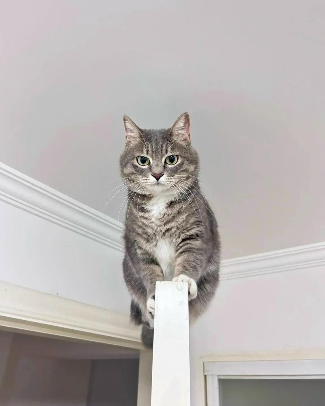 Любая поверхность: просто существует