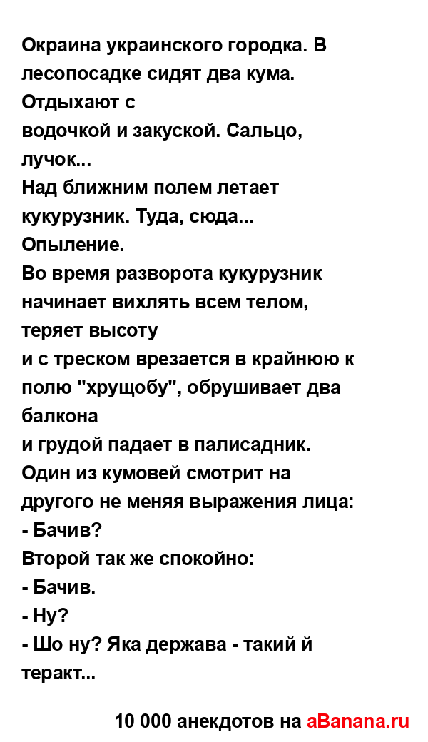 Окраина украинского городка. В лесопосадке сидят два...