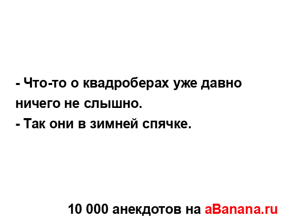- Что-то о квадроберах уже давно ничего не слышно....