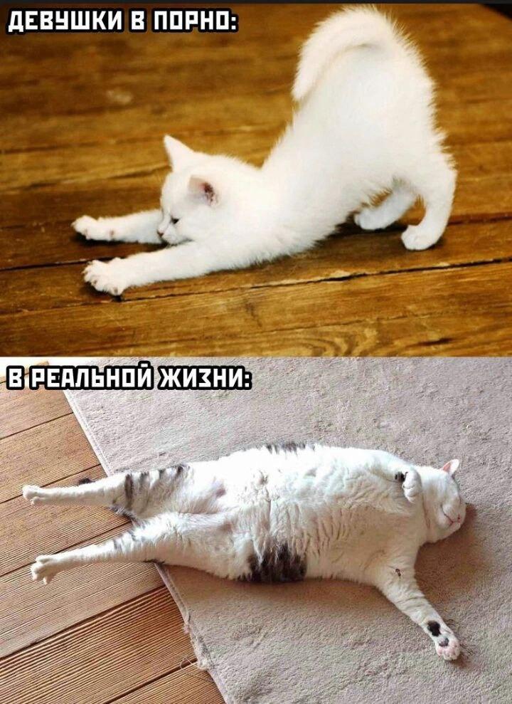 Без комментария