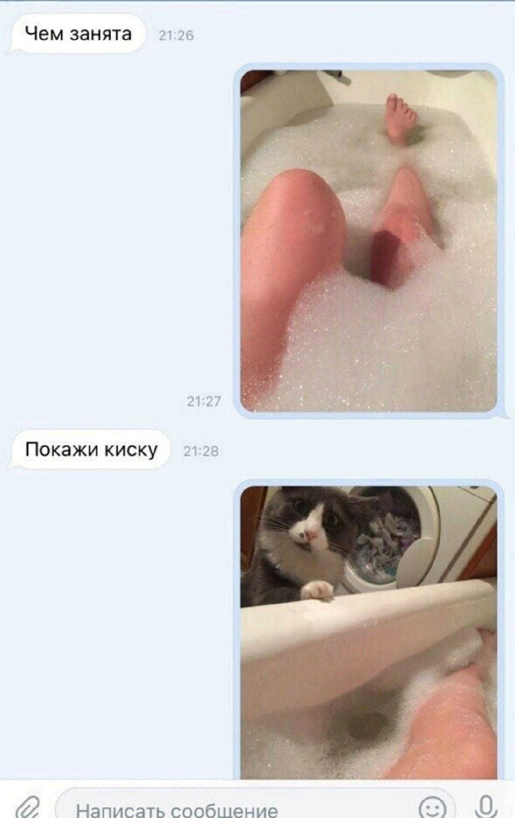 Без комментария