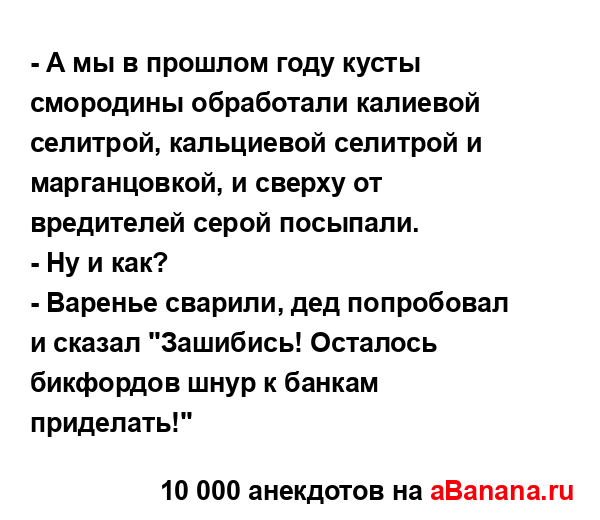 - А мы в прошлом году кусты смородины обработали...