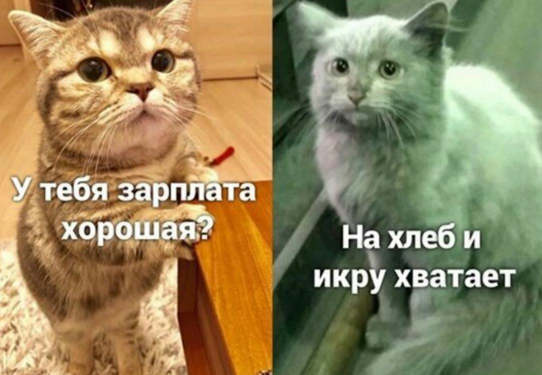 Кабочковая сейчас тоже не малых денег стоит