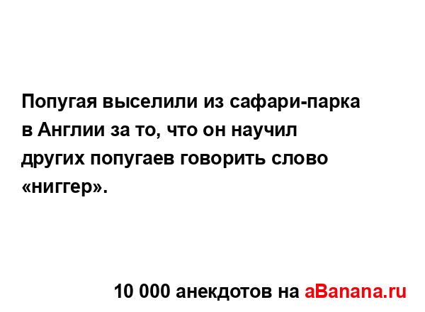 Попугая выселили из сафари-парка в Англии за то, что он...