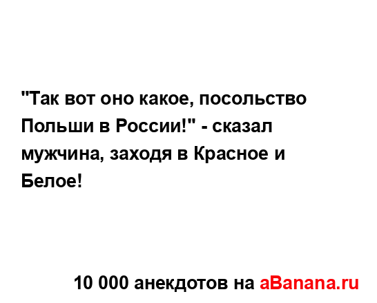 "Так вот оно какое, посольство Польши в России!" - сказал...