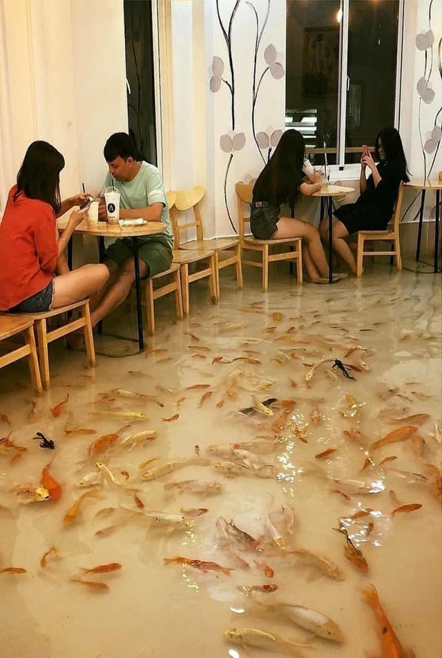 Ресторан-бассейн с рыбами, плавающими прям у посетителей под ногами