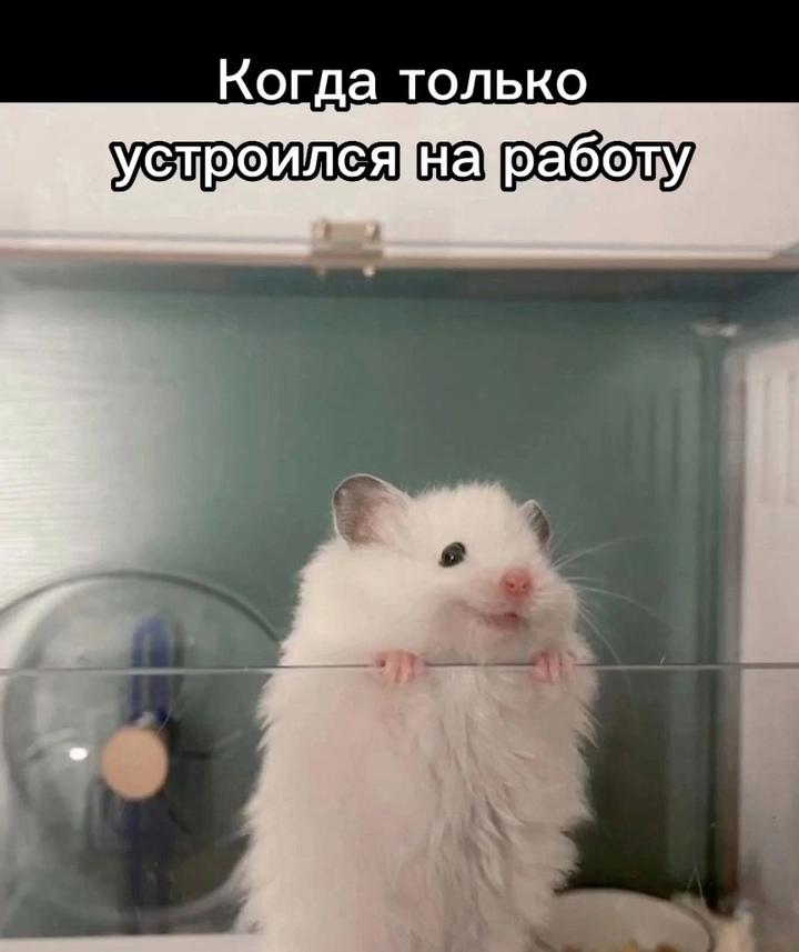 Все через это проходят