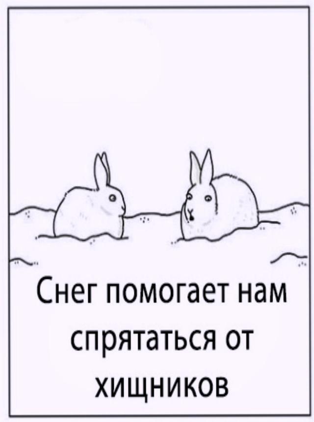 Ответ, который мы никогда не узнаем