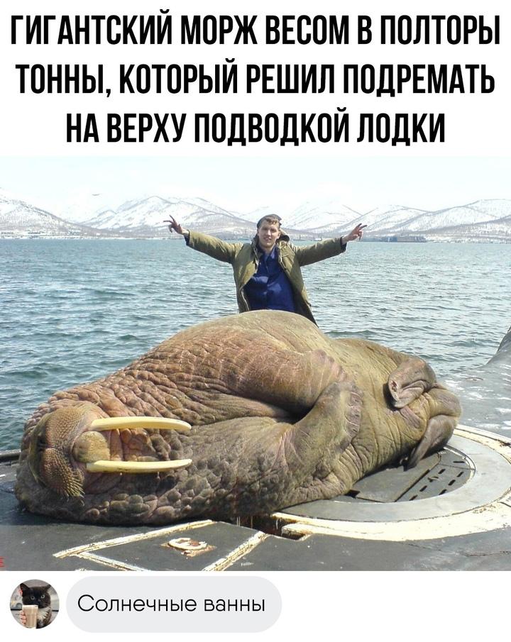 Открой сердце для новых возможностей