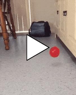 Без комментария