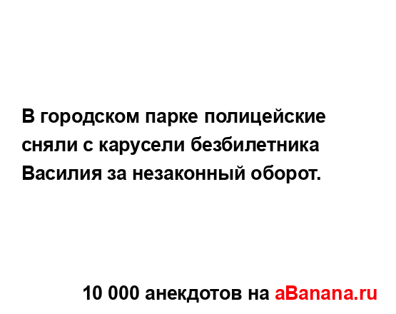 В городском парке полицейские сняли с карусели...