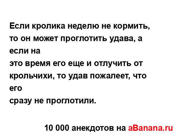 Если кролика неделю не кормить, то он может проглотить...