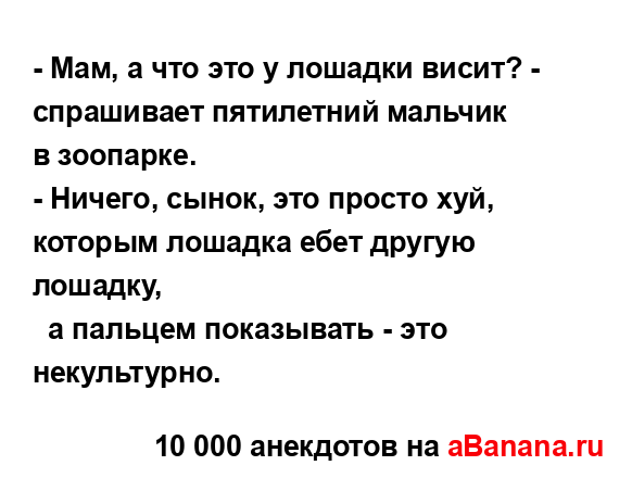 - Мам, а что это у лошадки висит? - спрашивает пятилетний...