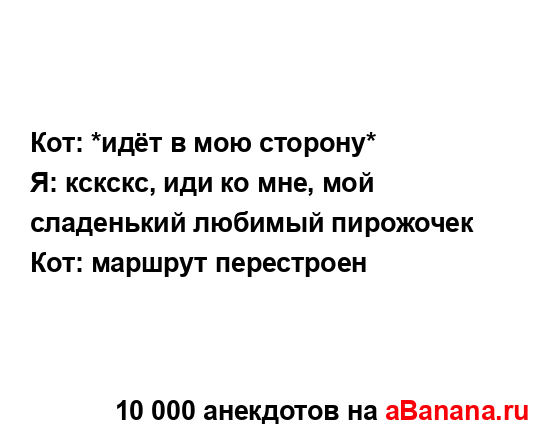 Кот: *идёт в мою сторону*...
