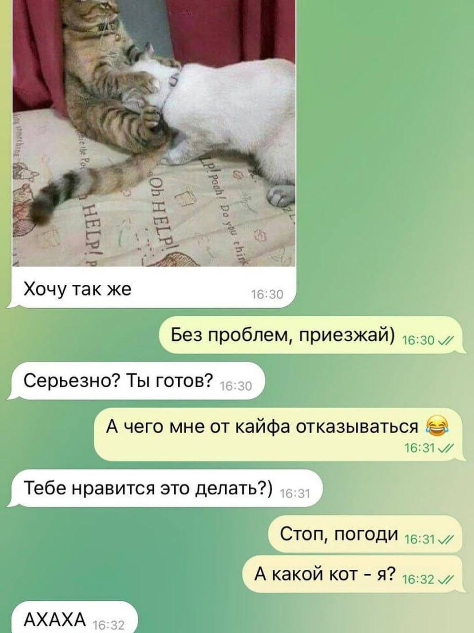 Без комментария