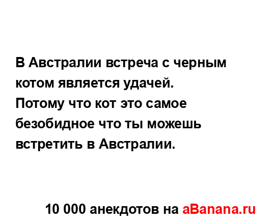 В Австралии встреча с черным котом является удачей.
...