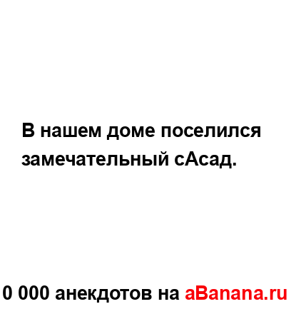 В нашем доме поселился замечательный сАсад....