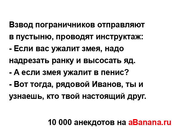 Взвод пограничников отправляют в пустыню, проводят...