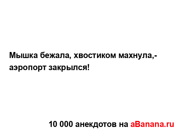 Мышка бежала, хвостиком махнула,- аэропорт закрылся!...