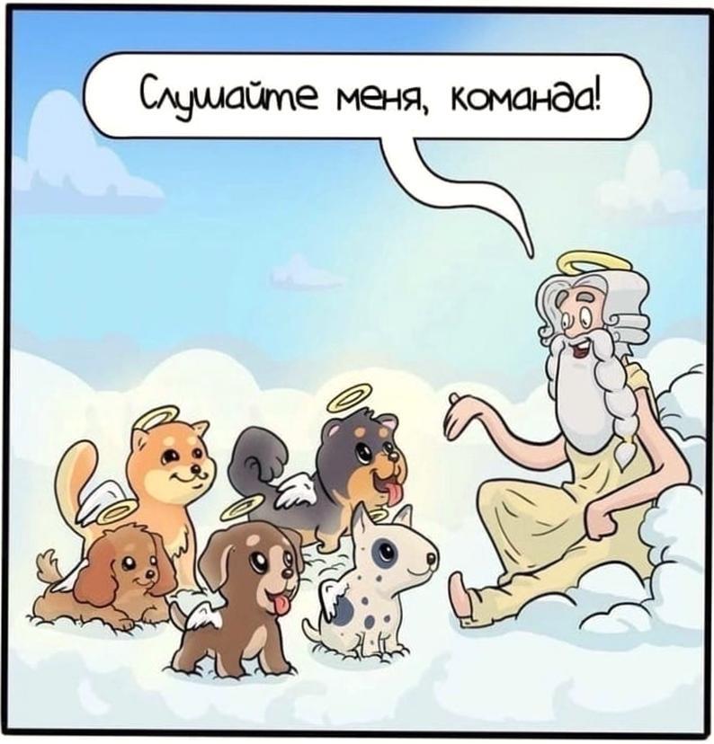 Всё стало немножечко яснее