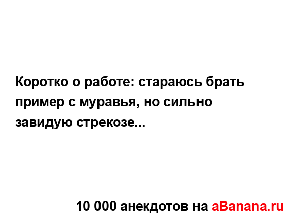 Коротко о работе: стараюсь брать пример с муравья, но...