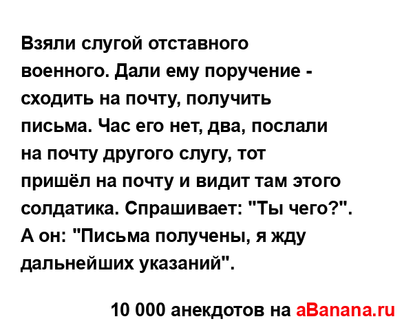 Взяли слугой отставного военного. Дали ему поручение -...