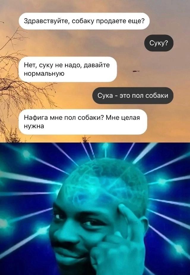 Без комментария