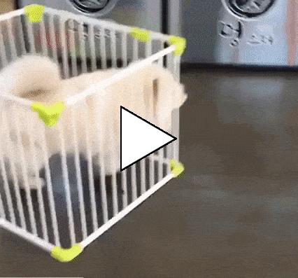 Без комментария