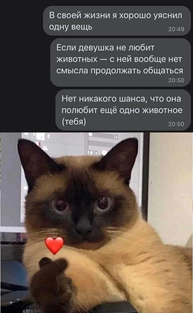 Без комментария