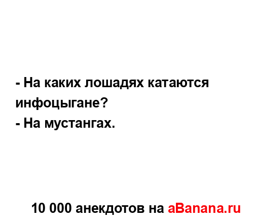 - На каких лошадях катаются инфоцыгане?...