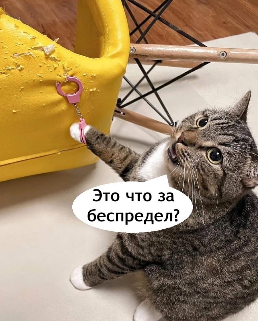 А как же презумпция невиновности