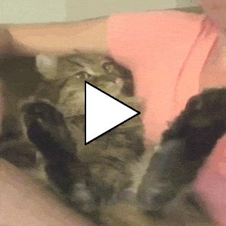 Без комментария