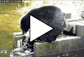 Без комментария