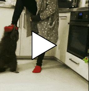 Без комментария